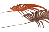 PICK SHINE PALM COPPER/BRONZE 36CM ASS P/12 NM