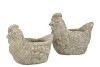 CONCRETE FARM GREY CHICKEN PLANTER 19X12X15CM NM