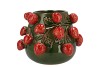 FRUIT STRAWBERRY GREEN POT 24X19CM