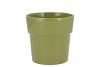 CERAMIC AMAZONE GREEN POT ORCHID EDGE 13CM NM