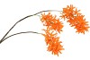 SILK WISTERIA ORANGE 93CM NM