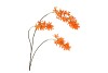 SILK WISTERIA ORANGE 93CM