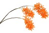 SILK WISTERIA ORANGE 93CM