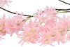 SILK WISTERIA LIGHT PINK 130CM NM