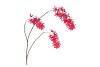 SILK WISTERIA PINK 93CM NM