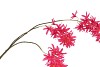 SILK WISTERIA PINK 93CM NM