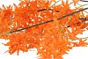 SILK WISTERIA ORANGE 130CM