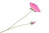 SILK POPPY 2X PINK 70CM