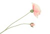 SILK POPPY 2X LIGHT PINK 70CM