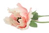 SILK POPPY 2X LIGHT PINK 70CM
