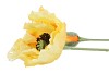SILK POPPY 2X YELLOW 70CM