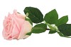 SILK ROSE CREAM REAL TOUCH 43CM