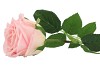 SILK ROSE REAL TOUCH CREAM 43CM NM