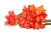 SILK DAHLIA 2X ORANGE REAL TOUCH 60CM