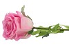 SILK ROSE REAL TOUCH PURPLE 43CM