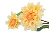 SILK DAHLIA 2X YELLOW REAL TOUCH 60CM