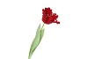 SILK TULIP PAPAGAYO RED 64CM