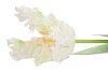 SILK TULIP PAPAGAYO WHITE 64CM