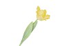 SILK TULIP PAPAGAYO YELLOW 64CM