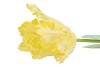 SILK TULIP PAPAGAYO YELLOW 64CM