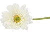 SILK GERBERA WHITE 72CM NM