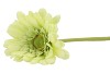 SILK GERBERA LIGHT GREEN 72CM NM