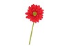 SILK GERBERA RED 72CM NM