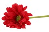 SILK GERBERA RED 72CM NM