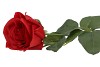 SILK ROSE REAL TOUCH OPEN RED 43CM