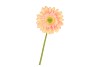 SILK GERBERA PEACH/LIGHT PINK 72CM NM