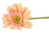 SILK GERBERA PEACH/LIGHT PINK 72CM NM