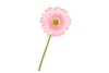 SILK GERBERA LIGHT PINK 72CM NM