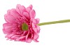 SILK GERBERA  PINK 72CM NM
