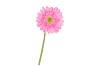 SILK GERBERA LIGHT PURPLE 72CM NM