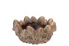 CONCRETE GOLDEN MUSHROOMS BOWL ROUND 21X21X10CM NM