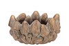 CONCRETE GOLDEN MUSHROOMS BOWL OVAL 26X19X14CM NM