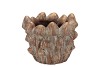 CONCRETE GOLDEN MUSHROOMS POT 16X16X12CM NM