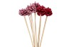 PICK SHINE PINECONE NAT FUCHSIA/PINK GLITTER 50CM ASS P/12NM