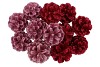 PICK SHINE PINECONE NAT FUCHSIA/PINK GLITTER 50CM ASS P/12NM