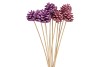 PICK SHINE PINECONE NAT LILA/PINK GLITTER 50CM ASS P/12