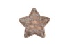 CONCRETE GOLDEN STAR PLATE 28X28X5CM NM