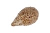 HEDGEHOG GLAZE BROWN 9X6X5CM NM