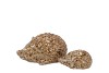 HEDGEHOG GLAZE BROWN 16X9X8CM NM