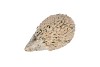 HEDGEHOG GLAZE GREEN 9X6X5CM NM
