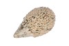 HEDGEHOG GLAZE GREEN 16X9X8CM NM