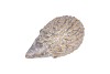 HEDGEHOG GLAZE GREY 9X6X5CM NM