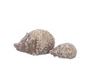 HEDGEHOG GLAZE GREY 16X9X8CM NM