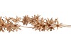 SILK WISTERIA GOLD 93CM NM