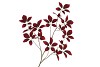 SILK LEAF ELDER DARK RED 124CM NM