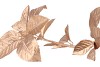 SILK LEAF ELDER GOLD 81CM NM
